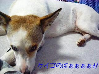 なんだよぉぉぉぉ