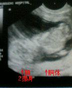 2005-10-05 19:44:42