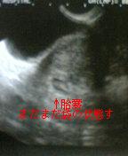 2005-10-05 19:49:45