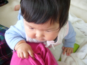 P1020033.jpg