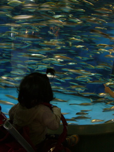 P1030331.jpg