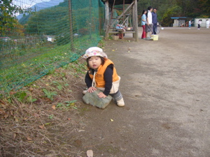 P1030765.jpg