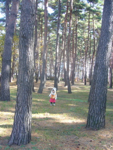 P1030783.jpg