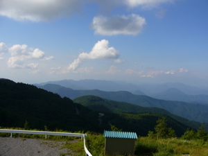P1030435.jpg