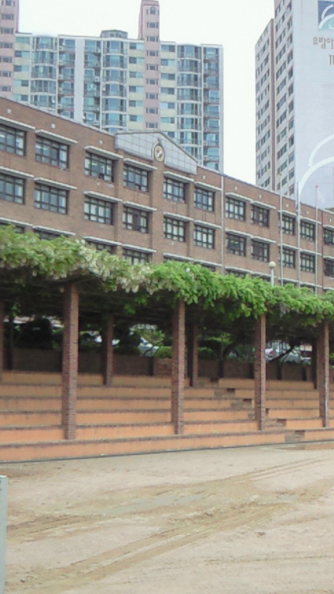 2009-05-01 20:36:11