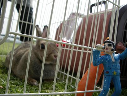 まぁエルブス、きてたのぉ？