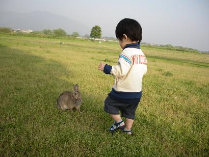 夕暮れうさんぽ８