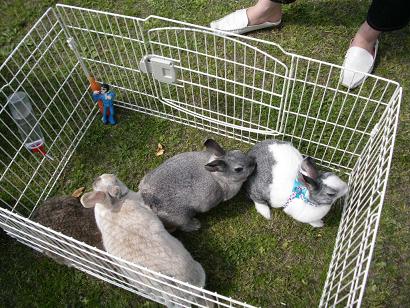 おぉ～仲間入りぃ…