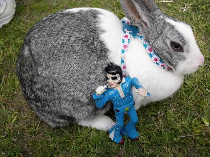 さくらちゃんエレガントだなぁ