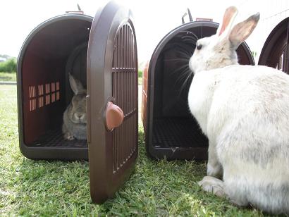 お隣さんお宅だったかしら？