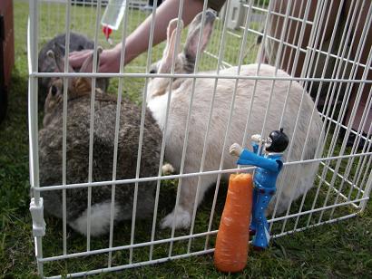 おい、リーフ。楽しいか？