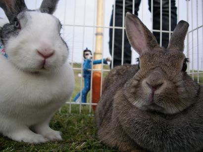 あのかたお知り合い？