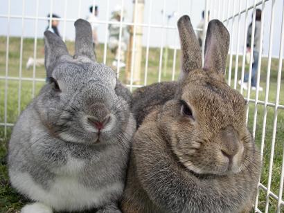 あたし達色違いねぇ。