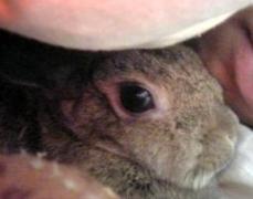 じゃぁお言葉に甘えてぇ