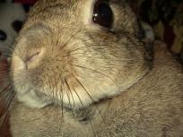 投稿者・リーフ