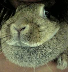 んーーーーーーーー。。。