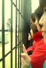 キャーキャー☆