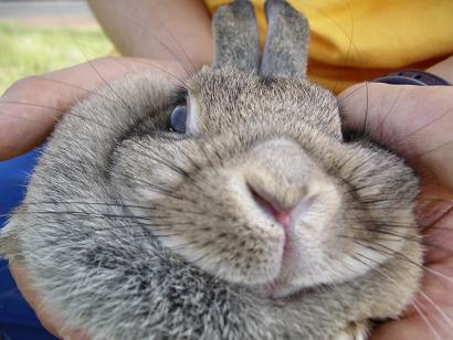 うららか　むにっつ