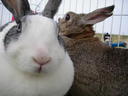 じつはねぇ、、、