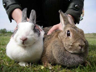 一年ぶりなんだわぁぁぁ