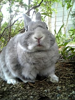 抜けてますなぁ。