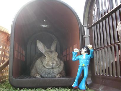 俺がいってやろうか？