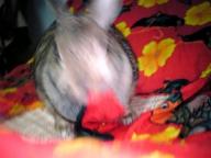 犯人わかんねぇ