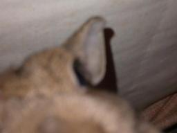 近すぎだからぁぁぁぁ