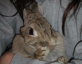 あんまり可愛くない！！