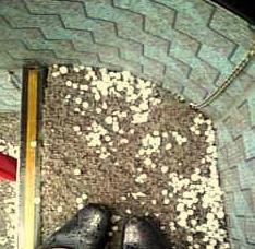 降りこんで来たわぁぁぁ