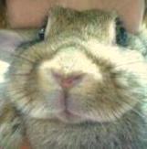 あなたが一番よぉ