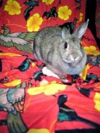 ここ私のお気に入りだものぉぉ～