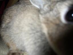 ちけーーーってよぉ