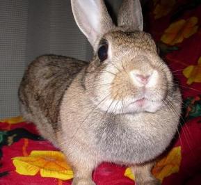 びよーーーーﾝﾝ☆