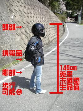 ちびっ子宇宙人。未確認。