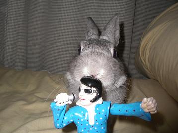 お前がくまごろーか★