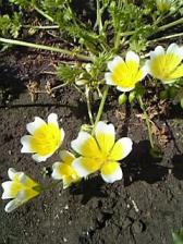 早く春が来ないかな☆