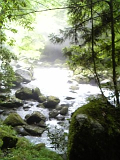 菊池渓谷。
