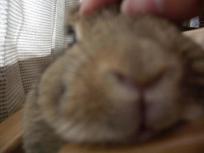 んーーーーーーっ。