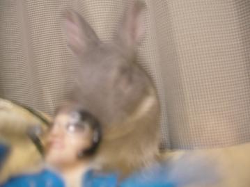 と、撮らないでくれ！！！