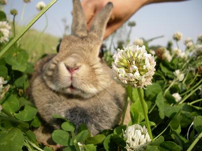 うららか　次はどなたが。