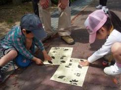 クイズラリー２