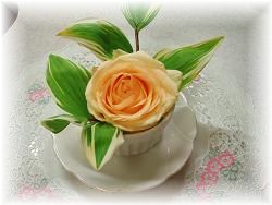 薔薇