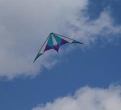 スポーツカイトd