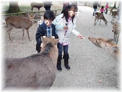 奈良公園