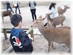 奈良公園