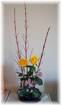 サンゴミズキ・薔薇・孔雀草