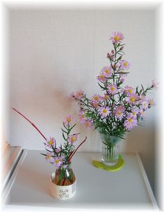 孔雀草