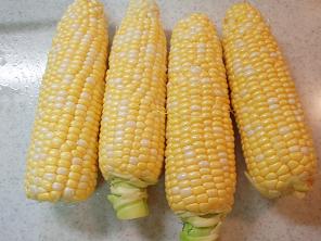 とうもろこし
