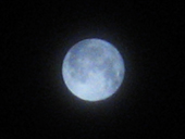 BlueMoon青い月
